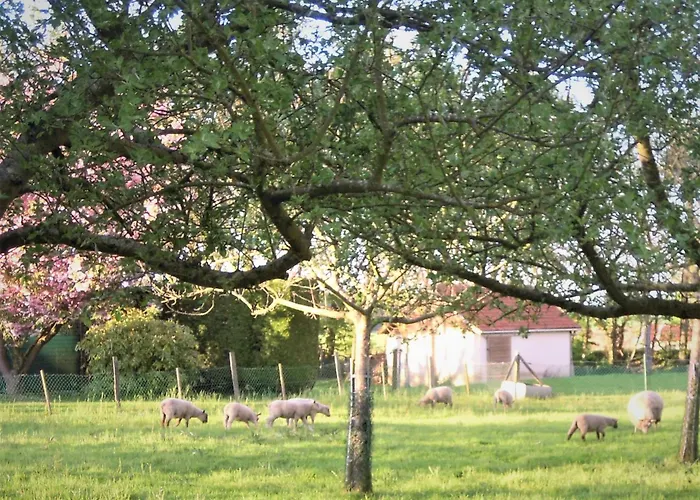 Holiday home Printemps Ete Automne