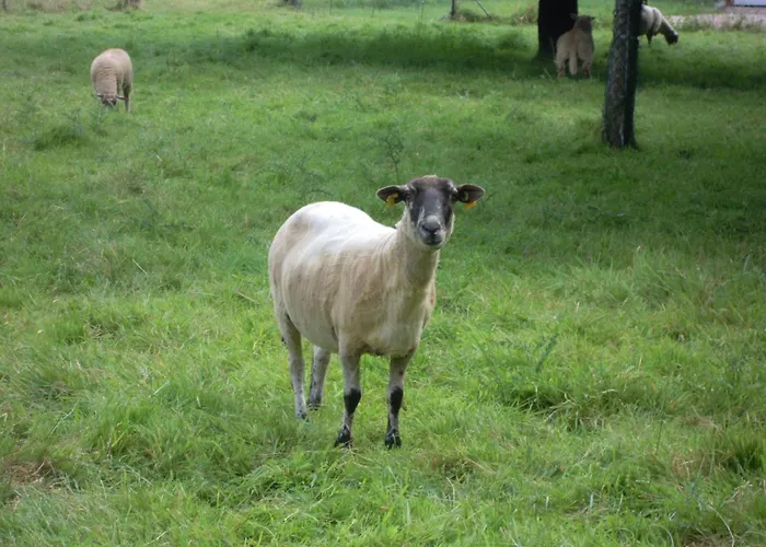 Printemps Ete Automne * Criquetot-le-Mauconduit